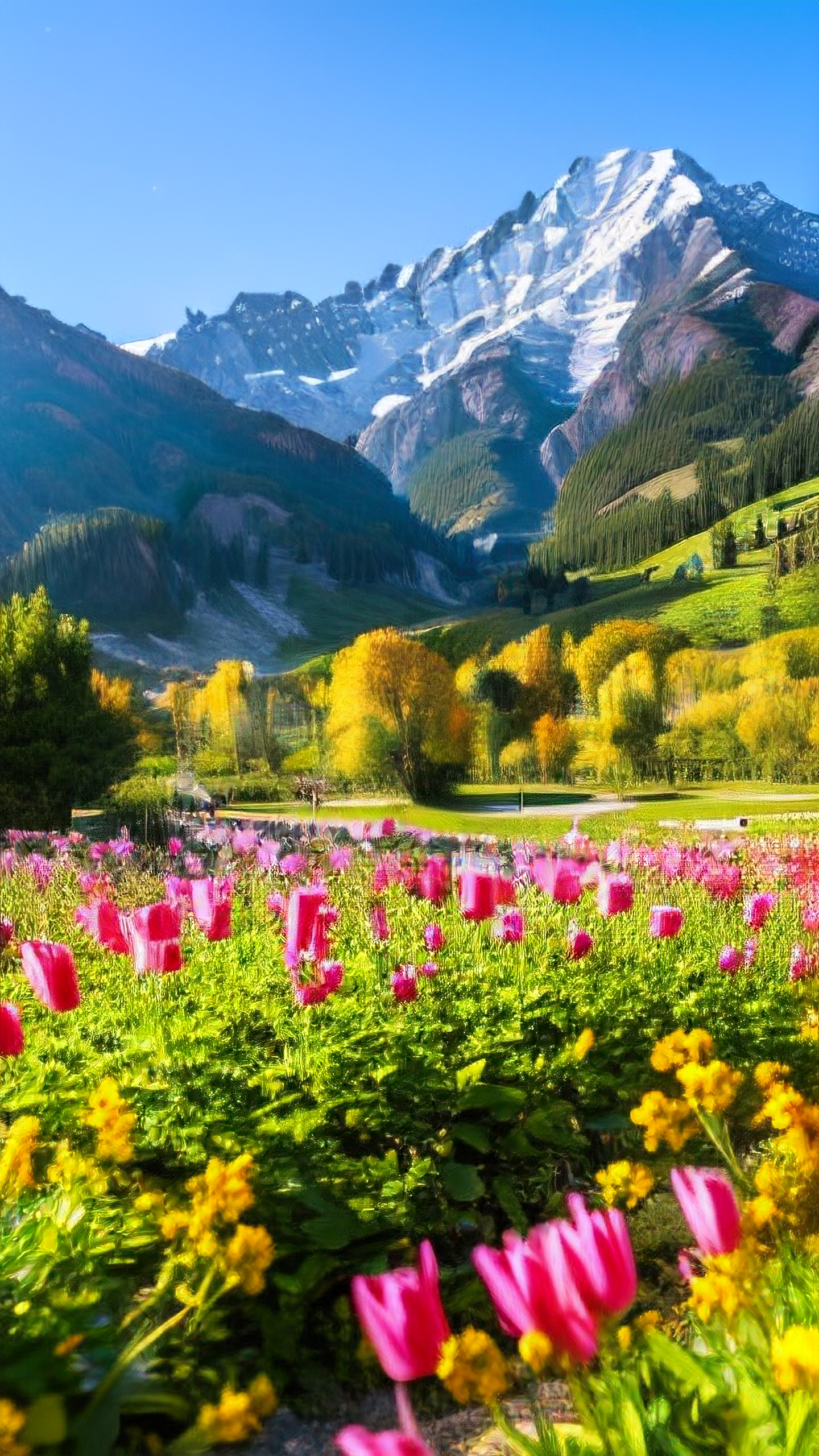 抖音